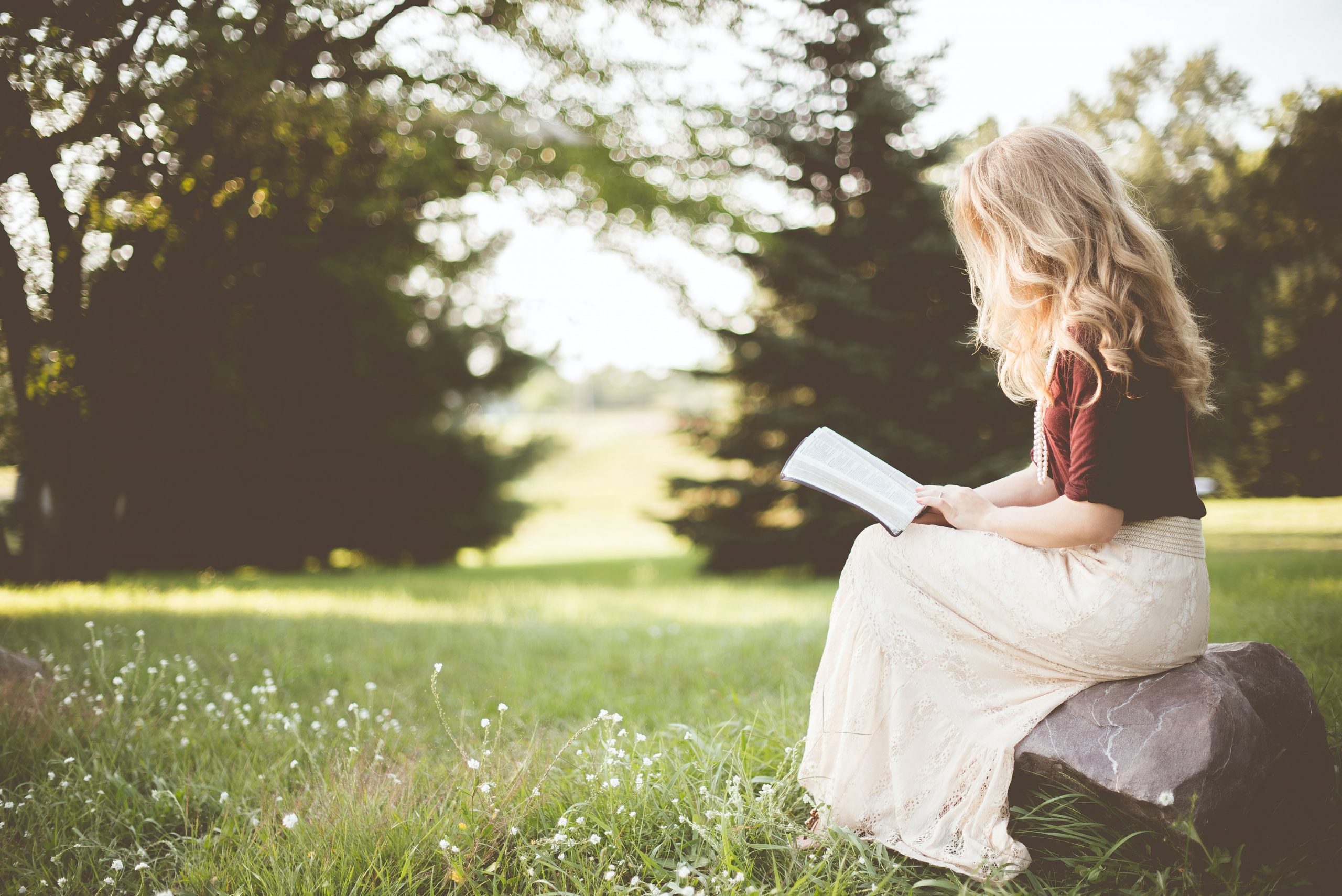 rapariga loira a ler um livro num parque sentada numa rocha